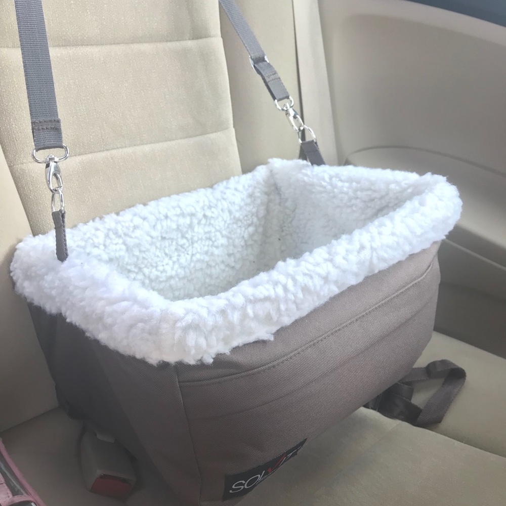 Small dog car seat